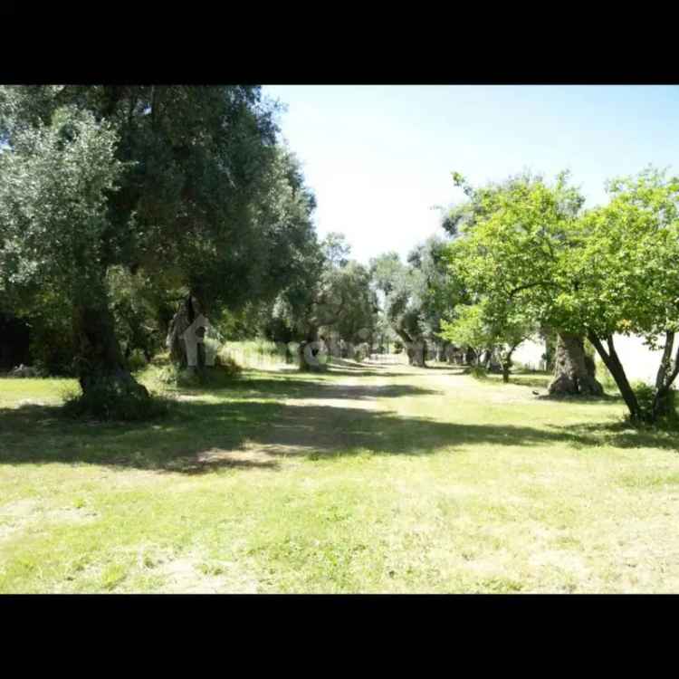 Villa bifamiliare via Herbert, Ostuni Costa, Ostuni