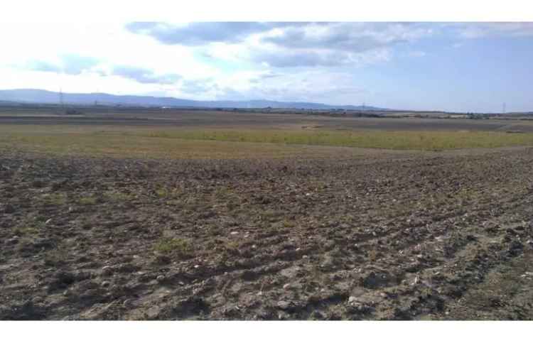 Terreno Agricolo/Coltura in vendita a Lucera