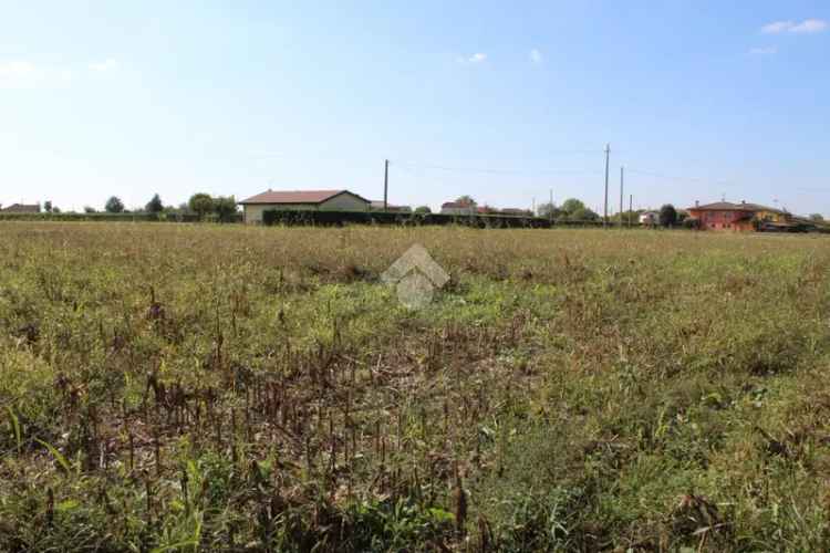 Terreno Agricolo in Vendita Tribano 9621 mq