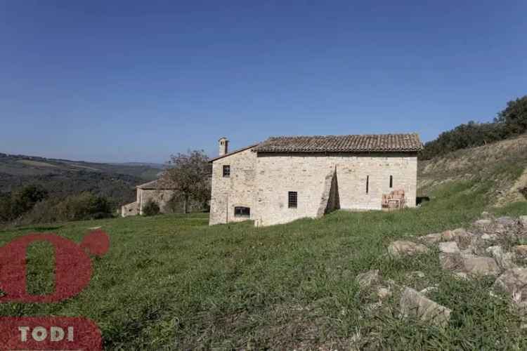 Rustico Vasciano, 2, Todi