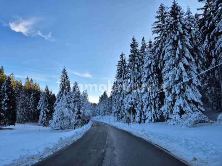 Mansarda buono stato, 84 m², Alpago