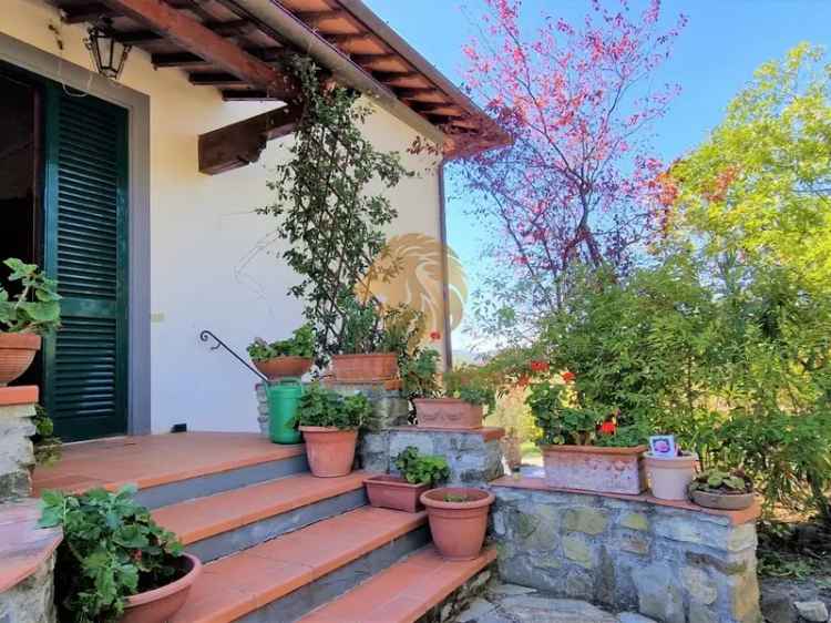 Villa in Gavignano, Pelago, 15 locali, 4 bagni, giardino privato