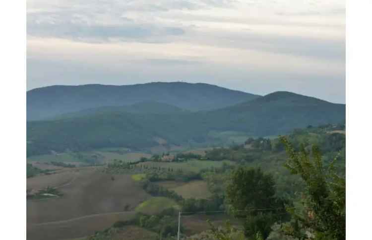 Terreno Agricolo/Coltura in vendita a Guardistallo