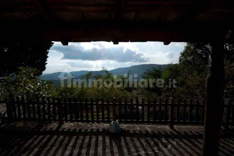 Villa unifamiliare via dello Stadio 2, Camaiore Paese, Camaiore