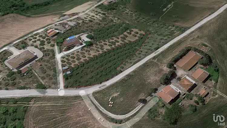 Vendita terreno agricolo di 2.900 m² in Atri (64032) - 70719 - iad