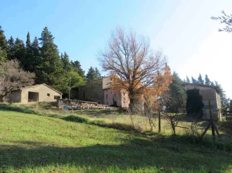 Casa colonica Contrada Sant'Angelo, Tolentino