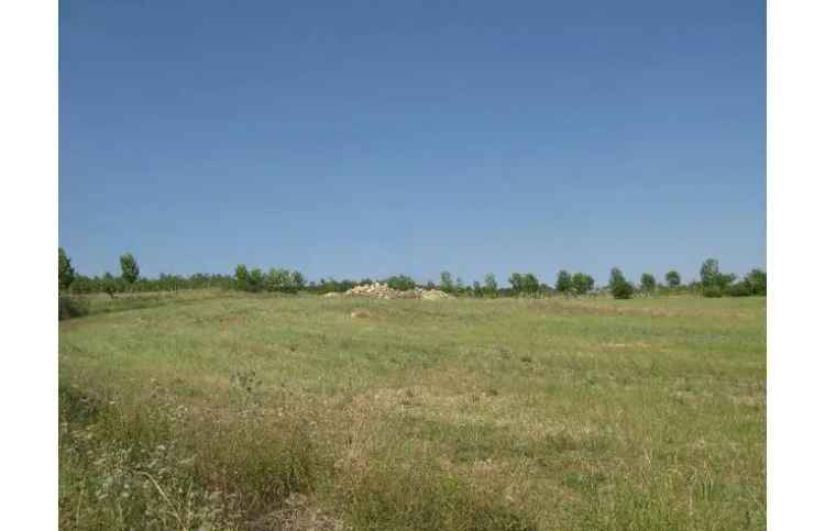 Terreno Agricolo/Coltura in vendita a San Giuliano del Sannio