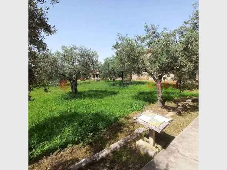 Casa Indipendente in vendita  a Alatri