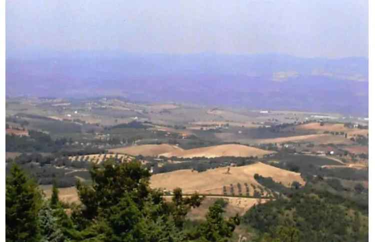 Terreno Agricolo/Coltura in vendita a Cinigiano