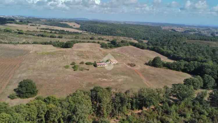 Ter. agricolo in vendita