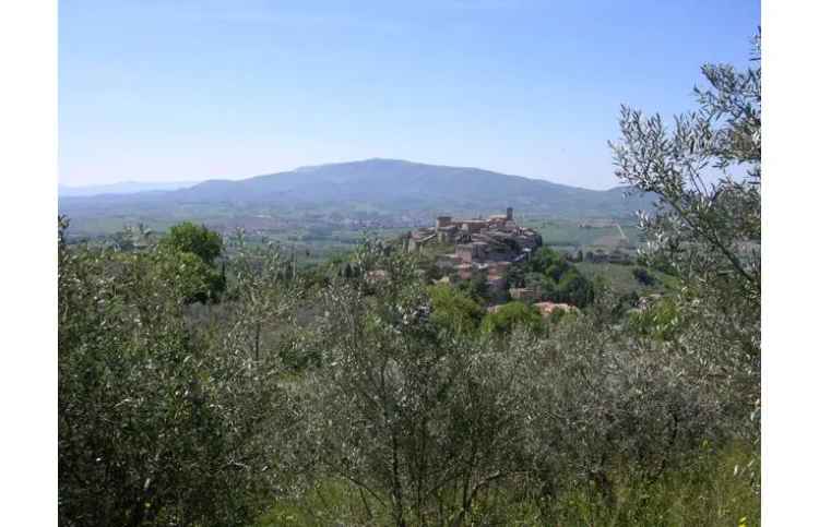 Terreno Edificabile Residenziale in vendita a Gualdo Cattaneo