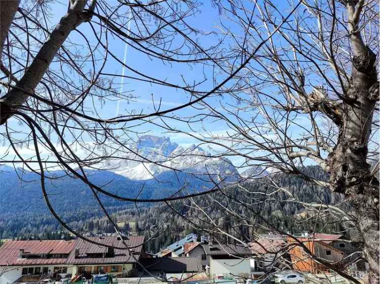 Appartamento Antelao, San Vito, San Vito di Cadore