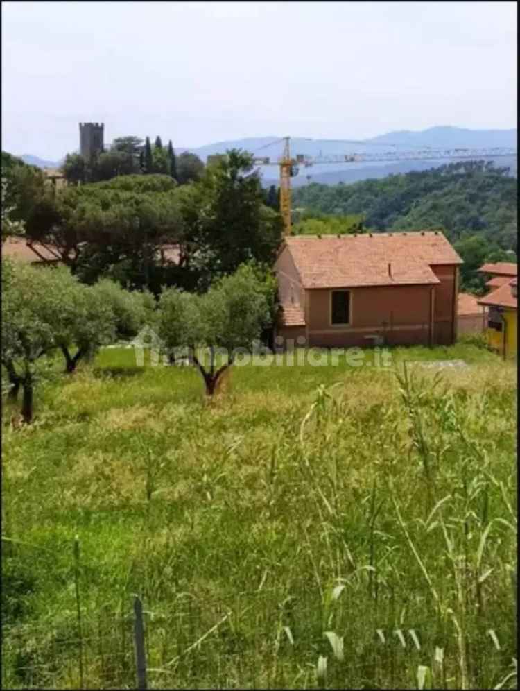 Villa unifamiliare via Terma, Olmo, Santa Caterina, Falcinello, Sarzana