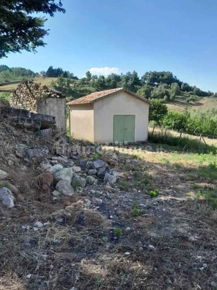 Masseria corso Umberto I, San Fele