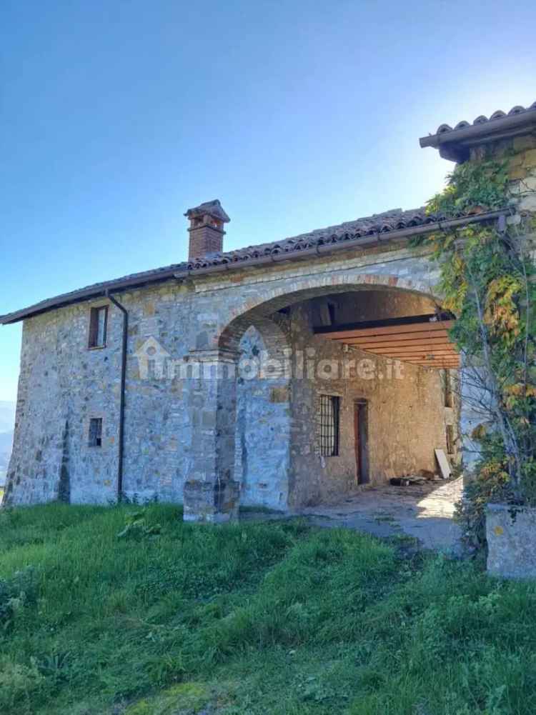 Rustico cogni, Bobbio