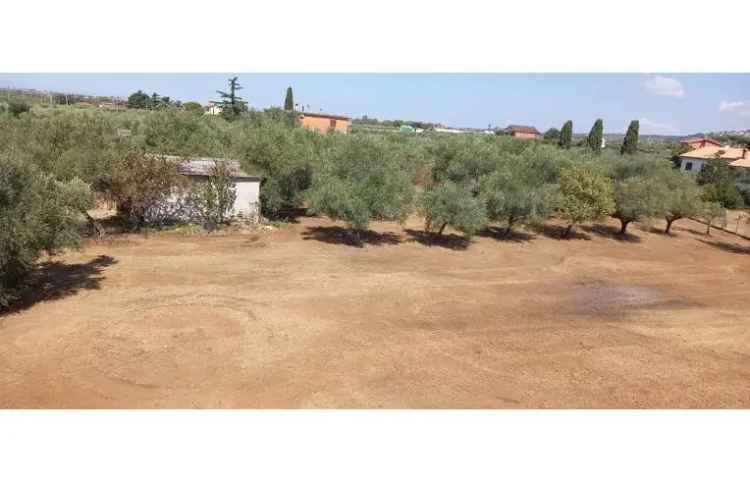 Terreno Agricolo/Coltura in vendita a Genzano di Roma, Via della Fontanella 4