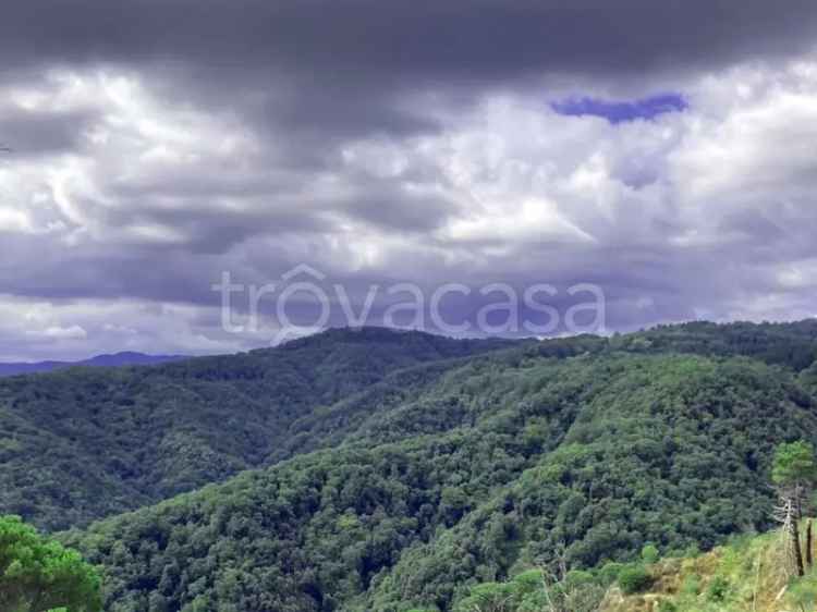 Villa in in affitto da privato a Corigliano-Rossano strada Provinciale Rossano Sila