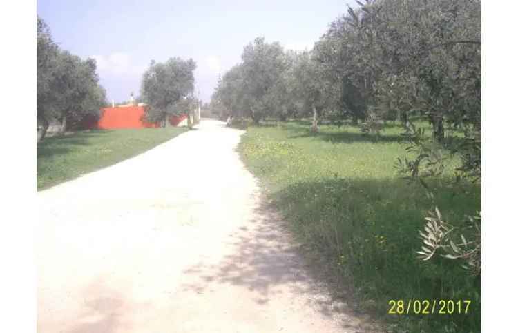 Terreno Agricolo/Coltura in vendita a Alghero