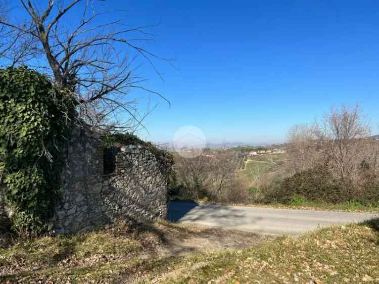 Terreno Edificabile Calvi dell Umbria 2380 mq Vista Panoramica