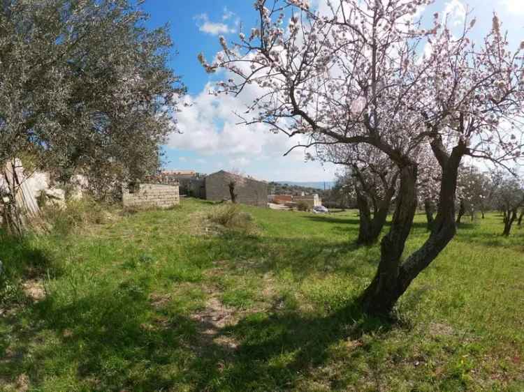 Casale Strada Provinciale, Conservatore - San Giacomo, Ragusa