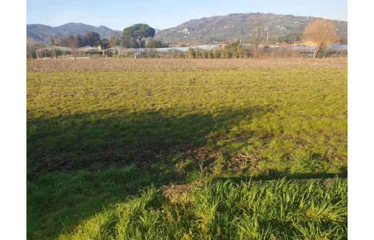 Terreno Agricolo/Coltura in vendita a Pescia