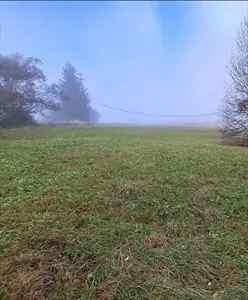 Terreno Agricolo 800 mq Limana Belluno