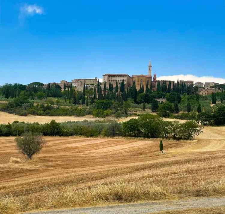 Vendita terreno agricolo Pienza Siena Italia