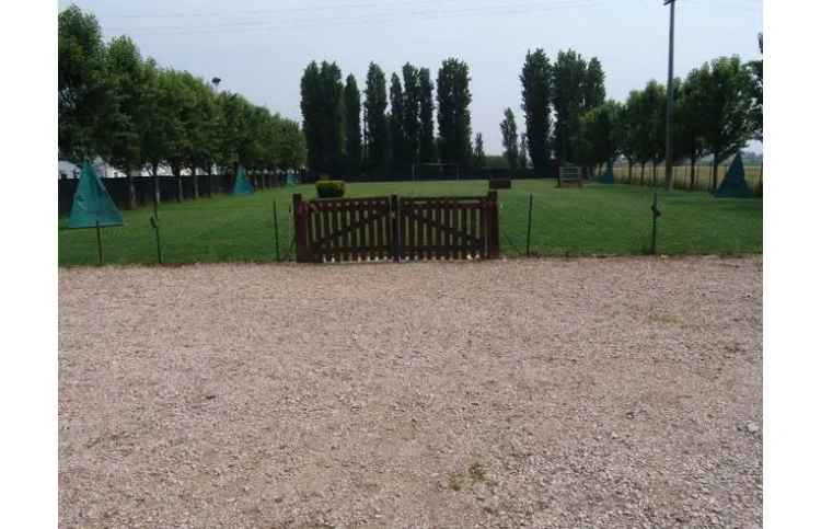 Terreno Agricolo/Coltura in affitto a Bovolone