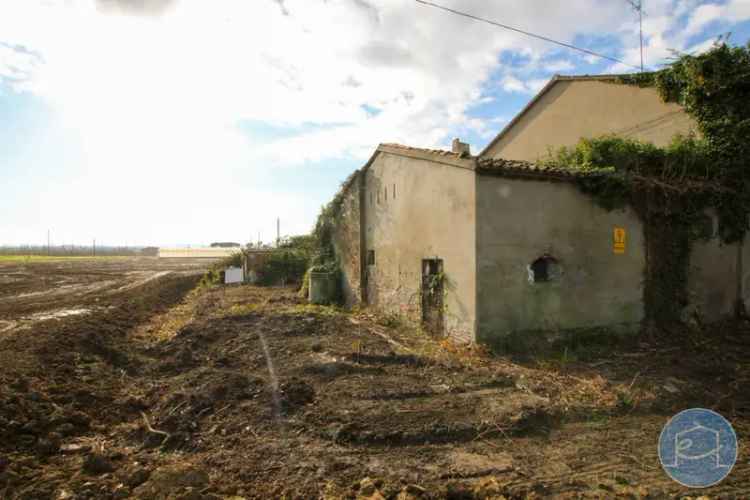 Casale via Borghetto 2005, Ponte Pietra - Case Frini, Cesena