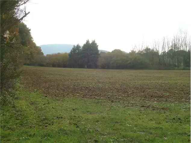 Terreno non edificabile in Via Scopeti, 00, Manziana (RM)