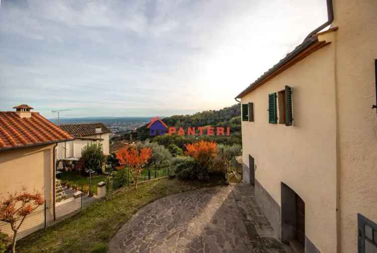 Casa colonica via Enrico Berlinguer, Collodi, Ponte all'Abate, Monte a Pescia, Pescia