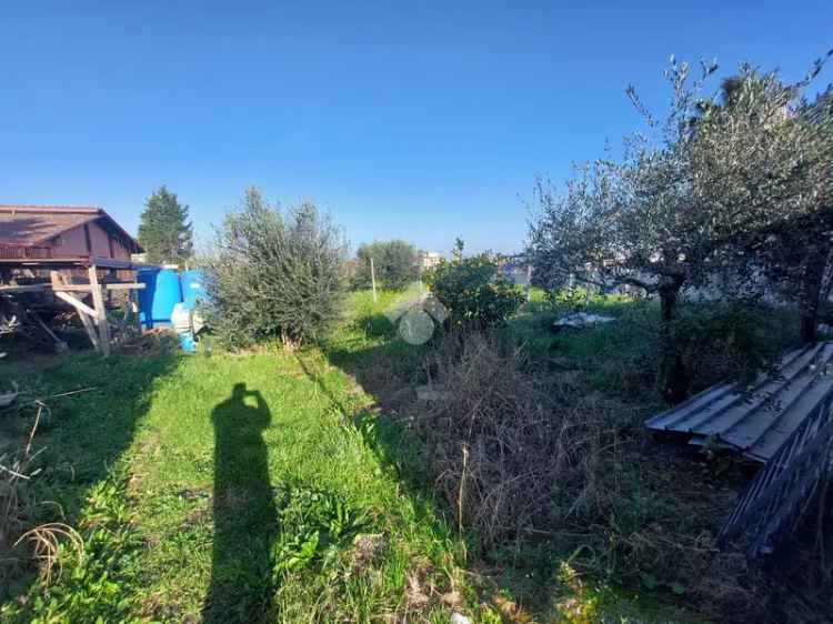 Ter. agricolo in affitto