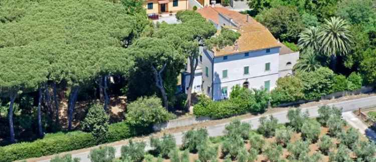 Villa in Via Gorizia, Cecina, 16 locali, 4 bagni, giardino privato