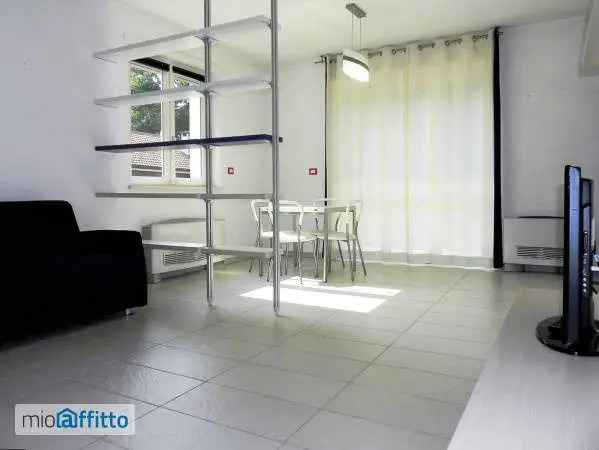 Appartamento In Affitto in Torino, Piemonte