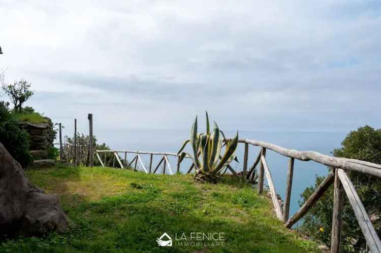 Rustico via Litoranea, Riomaggiore