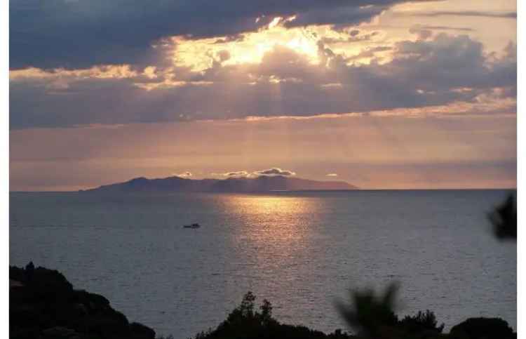 Affitto Appartamento Vacanze a Rio nell'Elba