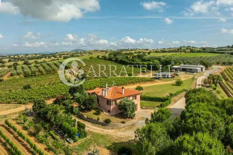 Casale strada Val delle Rose 10, Rispescia, Grosseto