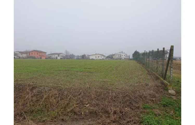 Terreno Edificabile Residenziale in vendita a Brugine