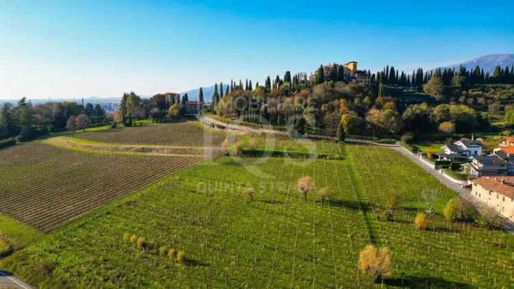 Villa unifamiliare via Monte dei Gobbi 15, Centro, Mozzo