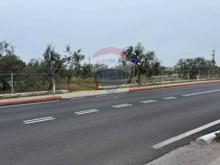 Terreno in Affitto Bari Palese 6800 mq Zona Aeroporto