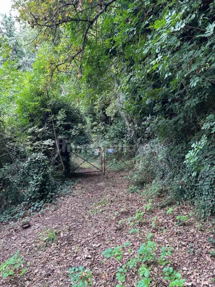 Casale via Fontemaggio, Zona Nuova, Assisi