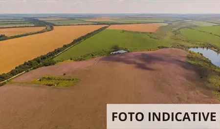 Terreno Agricolo in Vendita, 1 Locale, 38558 mq, Mirandola - Mirandola - Case altro Modena