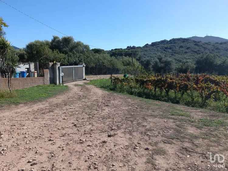 Vendita villa 5 locali di 160 m² in Olbia (07026) - 128536 - iad