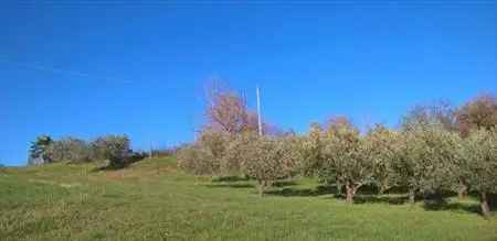 Terreno Agricolo 5000 mq con Laghetto - Castrocaro Terme