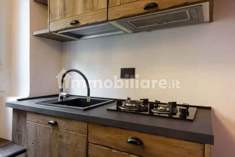 Monolocale Borgo San Frediano,42, San Frediano, Firenze