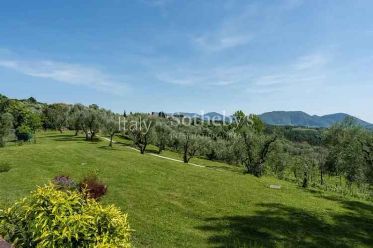 Lussuosa villa sulle colline Lucchesi