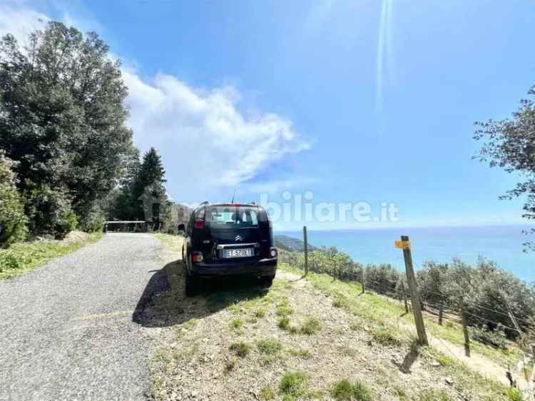 Villa bifamiliare Sp61, Vernazza