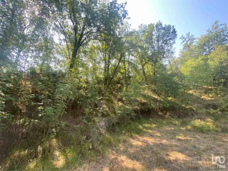 Vendita terreno di 4.000 m² in Calice Ligure (17020) - 131510 - iad