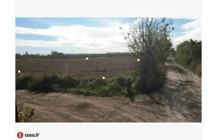 Terreno Agricolo/Coltura in vendita a Giugliano in Campania