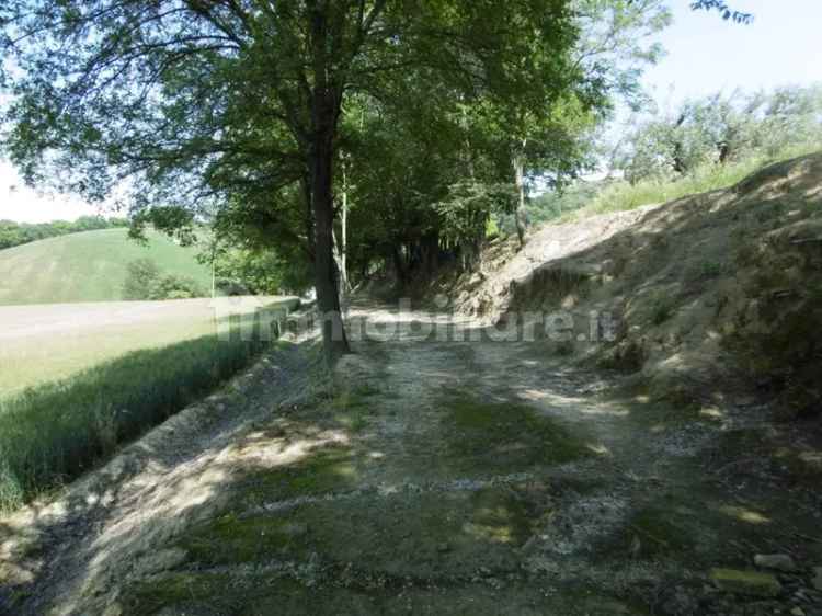 Rustico Strada San Tommaso, Montegranaro